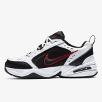 Nike Atlete AIR MONARCH IV 