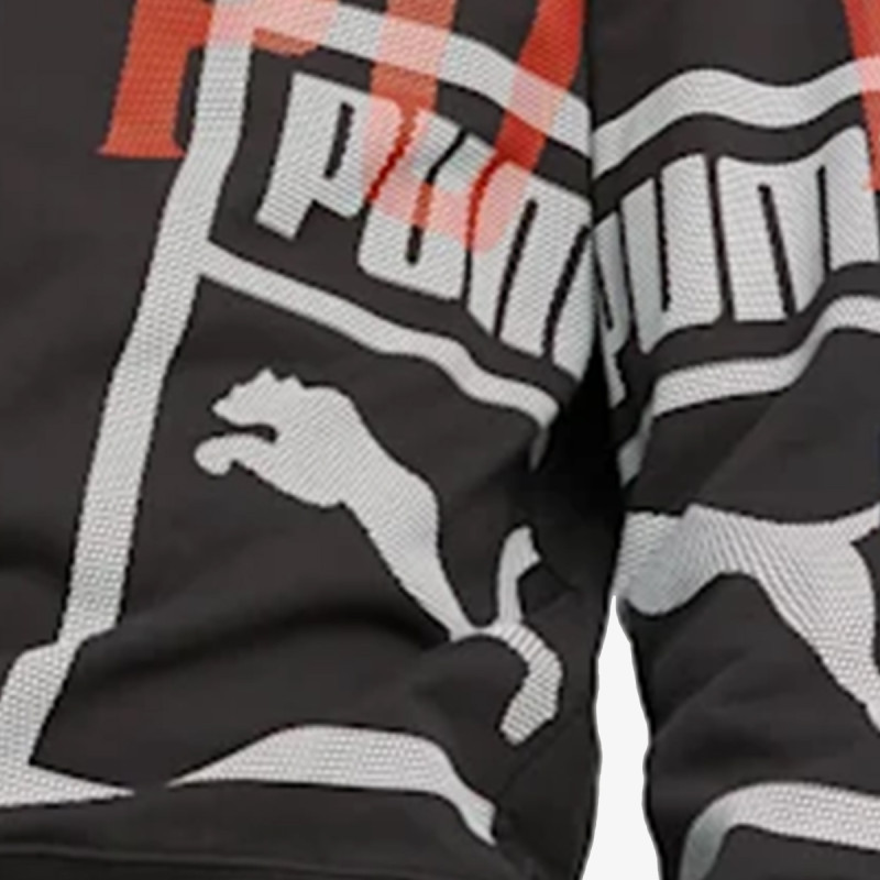 Puma Produkte PUMA CLASSICS GEN. PUMA Crew TR 