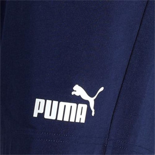 Puma Produkte Essentials Jersey Shorts 