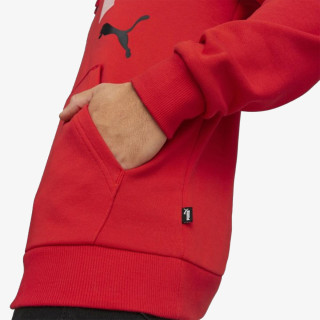 Puma Produkte PUMA ESS+ LOGO LAB Hoodie TR 