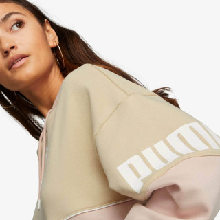 Puma Produkte PUMA POWER COLORBLOCK HOODIE FL 