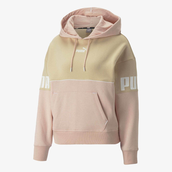 Puma Produkte PUMA POWER COLORBLOCK HOODIE FL 