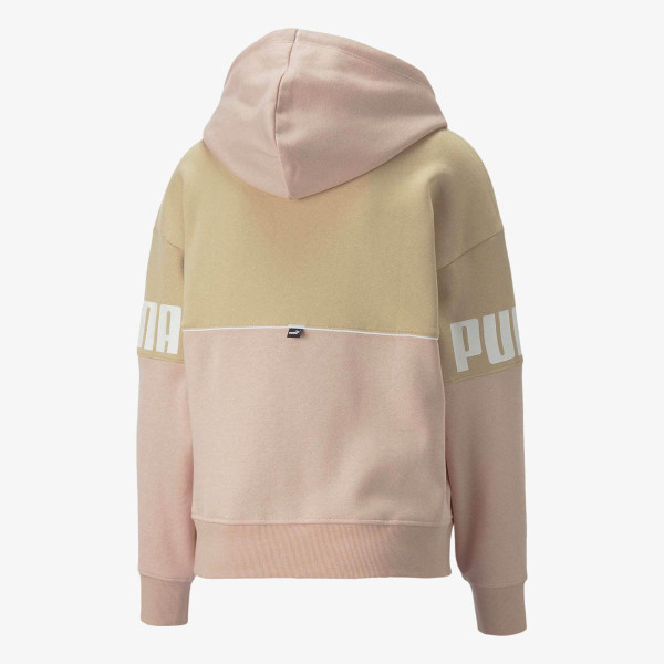 Puma Produkte PUMA POWER COLORBLOCK HOODIE FL 