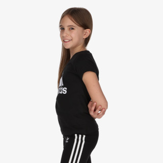 Produkte ESSENTIALS 