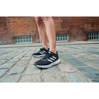 Produkte RUNFALCON 3.0 W 