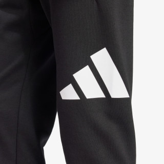 adidas Pjesa e poshtme e kostumit M BL FL TC PT 
