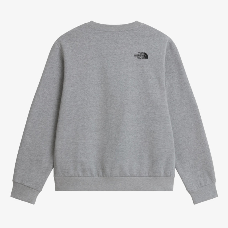 The North Face M BOX HALF DOME REGULAR CREW 